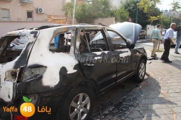 wafd qady 1117 (6).JPG